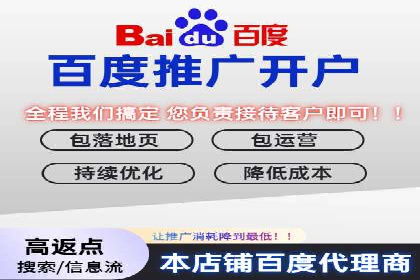 百度推广收费策略：案例分析及优化建议
